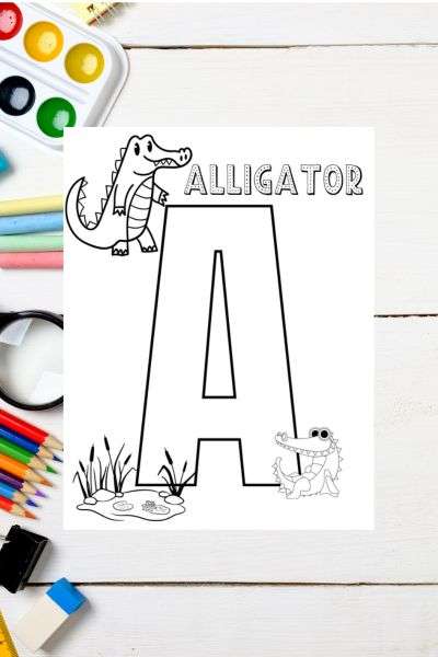backgroundo f paints, and colored pencils. Letter A is for Alligator coloring sheet with 2 alligators.