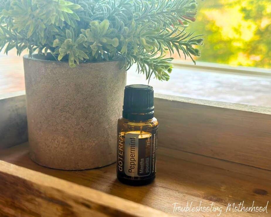 Morning Sickness Remedies. Image of DoTerra Essential Oil Peppermint on wooden tray with plant in background.